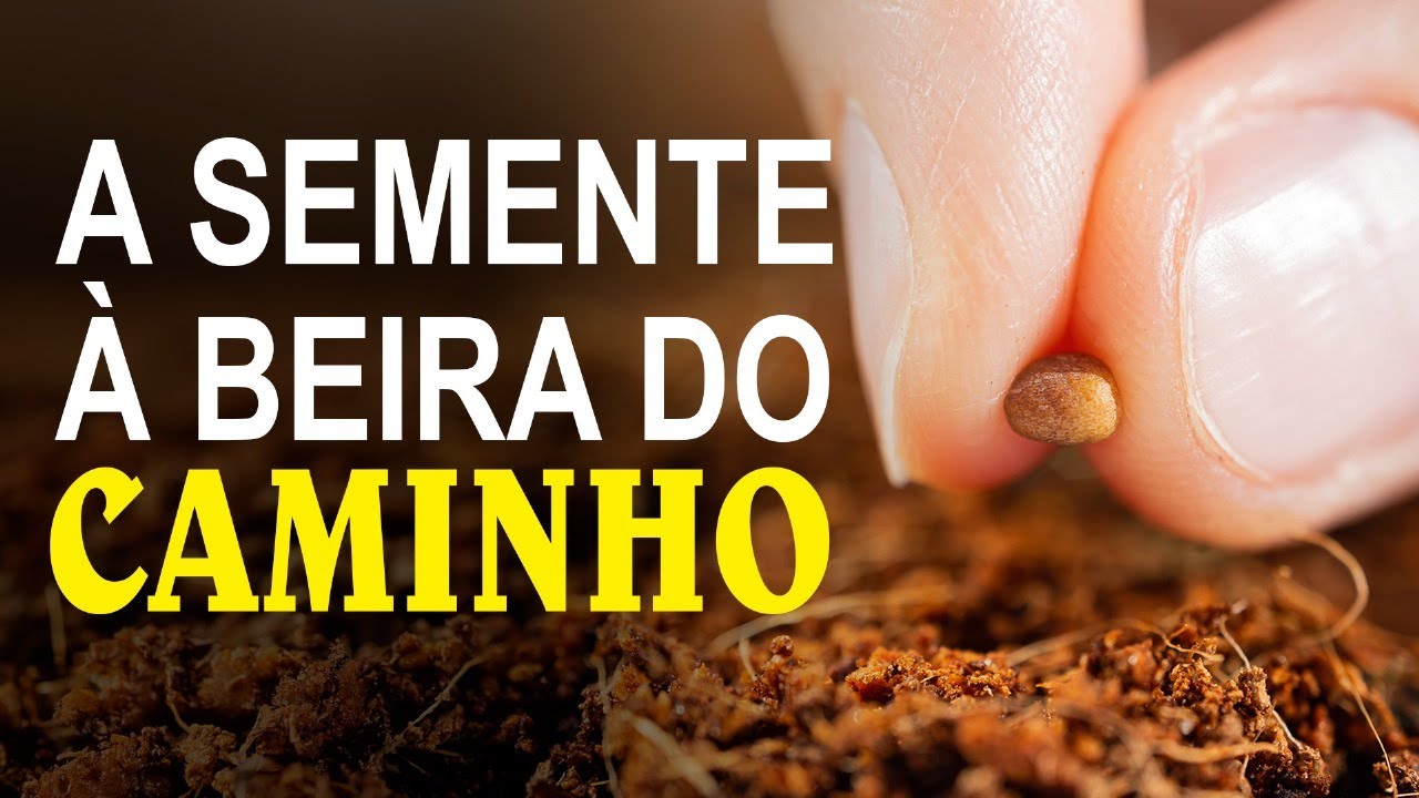 A SEMENTE À BEIRA DO CAMINHO