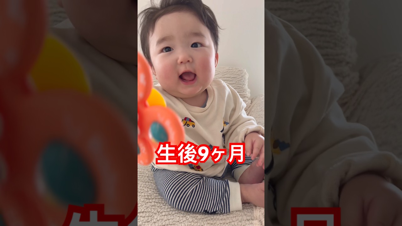 お口が一秒も閉じない赤さんからしか得られない栄養がある/Tareme-kun's mouth is the same as the Japanese anime Npochamu