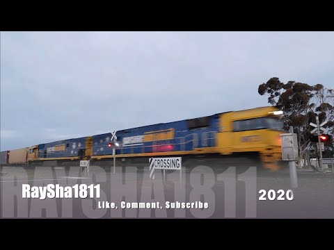 6MA5 - NR73-NR101 (PacNat) Bannockburn - Australian Trains by Raysha1811