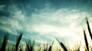 Andri feat. Hellsongs - Rock The Night (Original Mix)