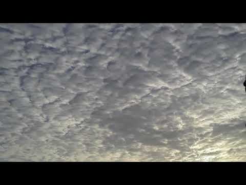 Twisted_Harmonies,_Luna_Isa,_Fabian_Farell_-_Alone_Solo_Sped_Up__Dj_Ahmed_.mp3