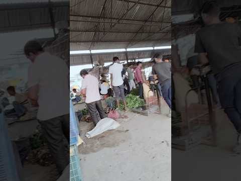 आज हम लोग सब्जी बेचने आए मंडी #farming #viral #volg