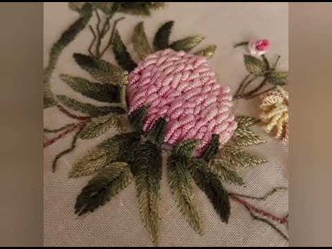 sana safinaz muzammil ansari