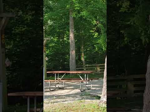 Short video of Clifty campsites please turn on the automatic captions in your Google Browser under accessibility settings.  Campsites here do vary in size so do your homework.  Campsites start at number 40 so ignore the number 34.
