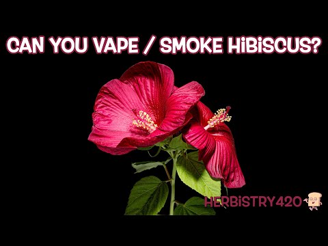 Can You Vape Hibiscus? 5 Amazing Benefits You Need to Know