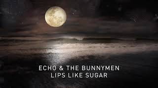 Echo &amp; The Bunnymen - Lips Like Sugar (Transformed) (Official Audio)