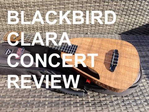 Got A Ukulele Reviews - Blackbird Clara Ekoa Concert