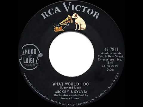 1961 HITS ARCHIVE: What Would I Do - Mickey & Sylvia