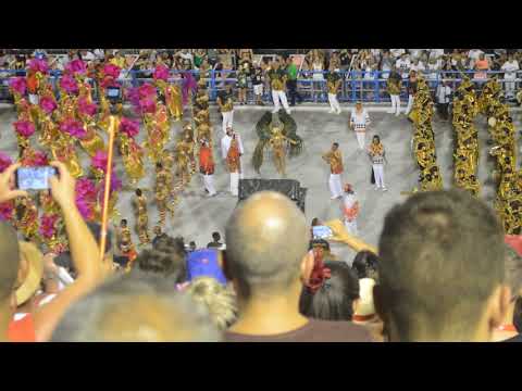 Bateria do Salgueiro Desfile oficial  2018