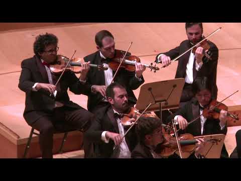 J.S. Bach - Arioso, BWV 1056 (iPalpiti/Schmieder)