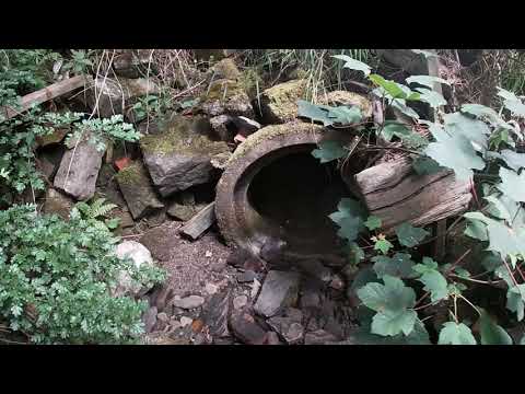 #Explore #Colliery #Underground #Coal Trying to get into Towneley Colliery Burnley