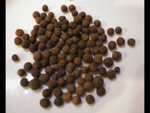 Allspice 101-Herbs & Spices That Pair With Allspice