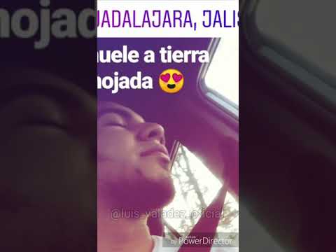 Instagram Stories 20-06-19 / "ASÍ HA SIDO MI VIDA TOUR"