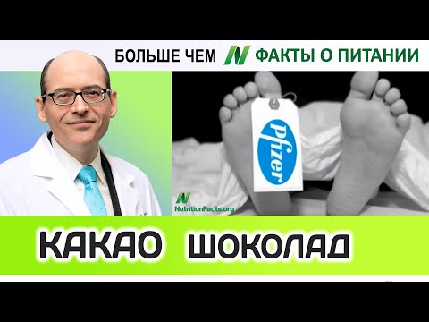 0024.Какао - хорошо, шоколад - плохо? | Больше чем ФАКТЫ О ПИТАНИИ - Майкл Грегер