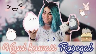 HAUL KAWAII ROSEGAL / totoro, molang, fishnet....