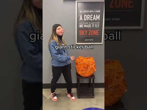 Things At Sky Zone That Just Make Sense...#shorts #tiktok