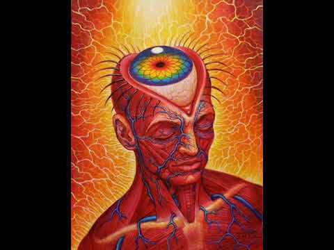 Recycled Reality - Psychill Session