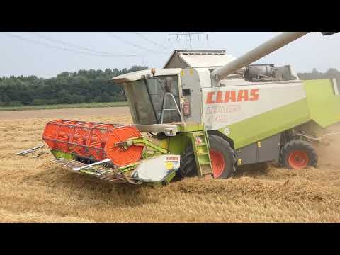 CLAAS LEXION 440 IN ACTION