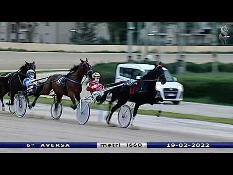 Aversa trotto 19 Febbraio 2022 - 6° Corsa