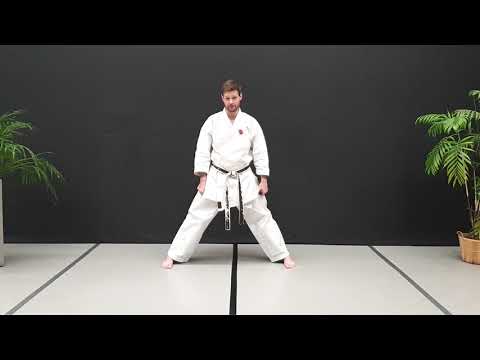 Kihon Training Fünf Grundtechniken mit Benni 🥋 Karate