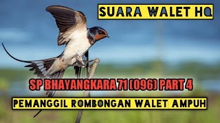 Download lagu Suara Walet Terbaik - SP Bhayangkara 71 256 mp3 Download lagu Suara Walet Terbaik - SP Bhayangkara 71 256 mp3