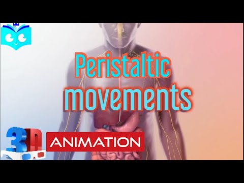 Miniatura do vídeo: A Mastigação e o Início da Digestão