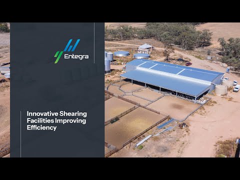 Innovative Shearing Facilities Improving Efficiency | DD Kaylock & Co