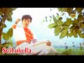 Setthukulla Song Velai Kidaichudhuchu Movie Sathyaraj Gouthami Hit Songs S P B Hits HD