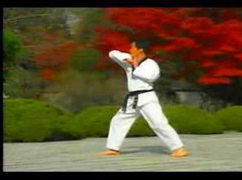5. Taekwondo Poomsae Taegeuk Oh Jang (WTF)