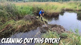 Fully Removing An Incomplete Beaver Dam To Prevent Damage