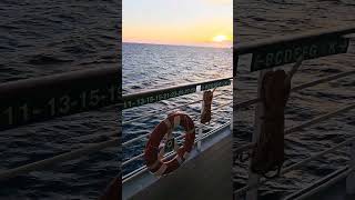 Sunset Lover aboard Msc Cruises #msccruises #sunsetlover