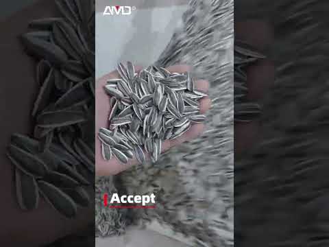 Revolutionizing #Sunflowerseeds Purification with AMD® LGS4 AI-Powered Sorting Machine
