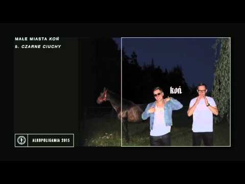 Małe Miasta - CZARNE CIUCHY gość Paluch - KOŃ