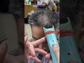 Older Men S Hairstyles Are Better By Experts Barbershop Howtocutcurlyhair Haircut