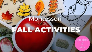 Montessori Toddler Fall Activities|Fall Activities for Toddlers and Kids #montessoriwithhart