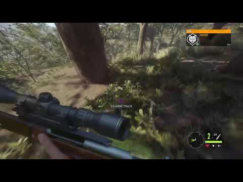 Hunting down a 9 legendary puma