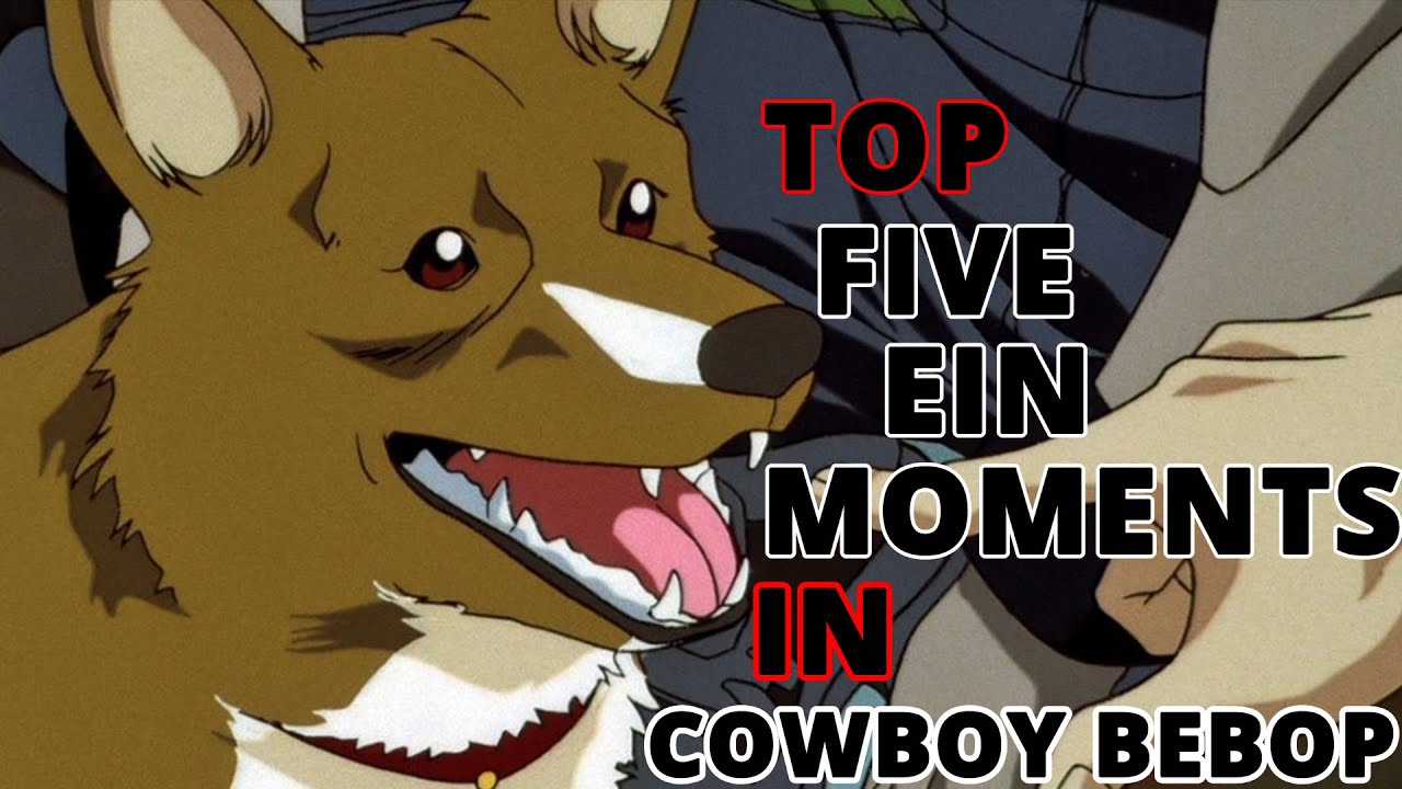 Top 5 Ein Moments | Cowboy Bebop
