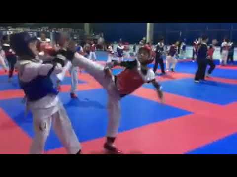 フリッカージャブのようなテコンドーの蹴り　taekwondo kick movie