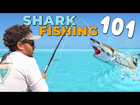 Complete Guide to SHARK FISHING | SHARK Fishing 101