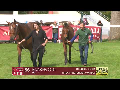 Show AQPS 2019 : Lot 56 - N(VAKINA 2019)