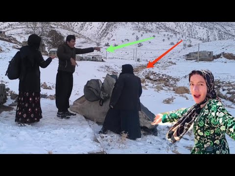 From despair to hope, from hope to pain: Marzieh's journey to find David