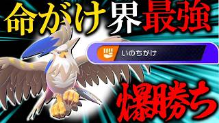 【命がけ界隈騒然】命がけメガムクホークがガチポケモンすぎる件について【ポケモンチャンピオンズ】