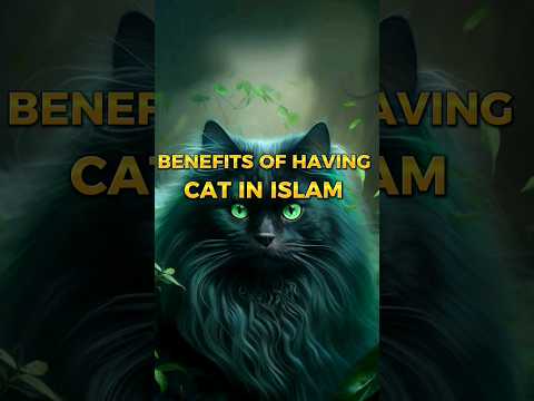Benefits Of Cat In Islam😻🐈 #wayofsuccess #islamicvideo #ytshorts