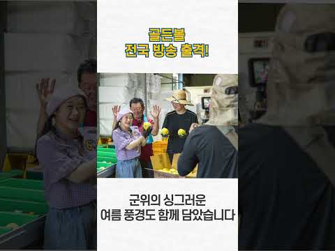 [SHORT군위] 8월 10일 전국이 주목할 군위 골든볼