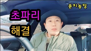 쳬리재배 초파리 대처법