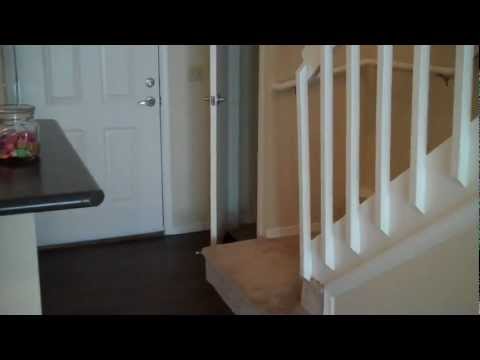 Brookside Apartments - Boulder - 2 Bedroom - Waterfall Floorplan