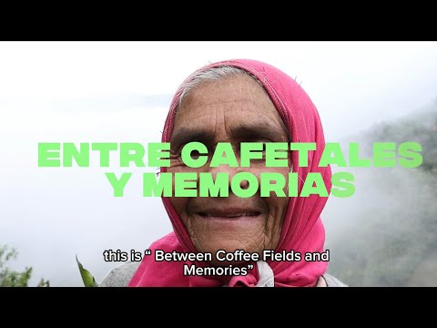 Cómo se ve un caficultor del sur de Colombia? ENTRE CAFETALES Y MEMORIAS|Documental| El Tambo,Nariño