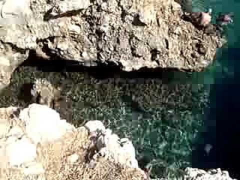 Accadia Maria Gagliardi