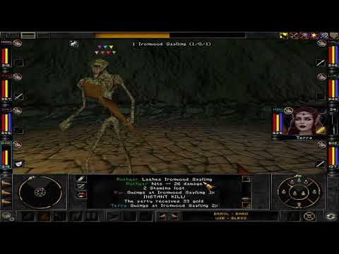 Wizardry 8 (HD) - 30th Level Fighter and Bard