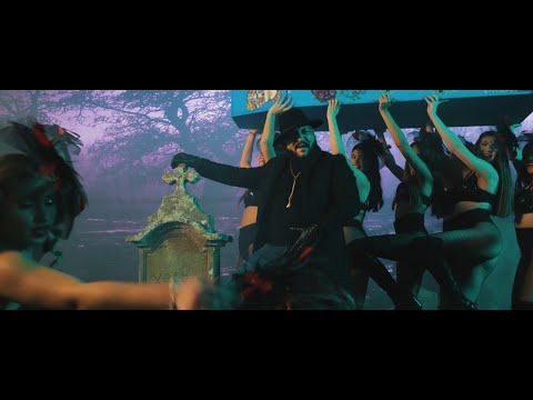 Dani Mocanu - America 🇺🇸 Video